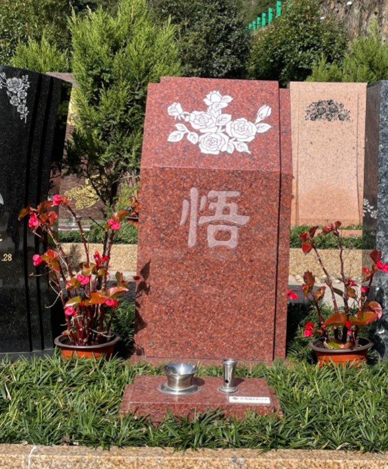 玫瑰园（六分格）