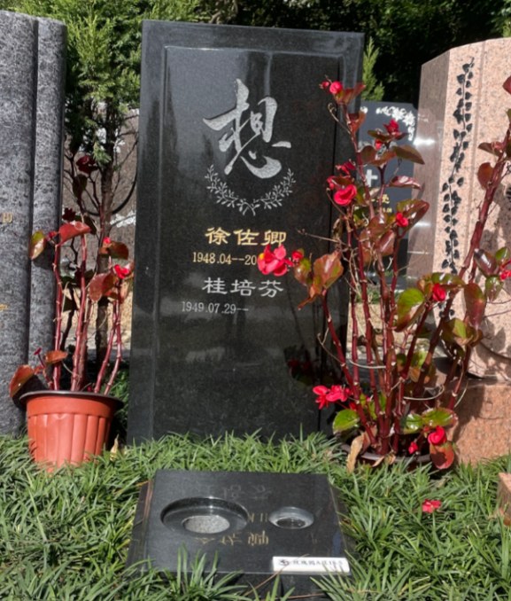 玫瑰园（八分格）