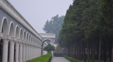 园区实景-西静园管理处2