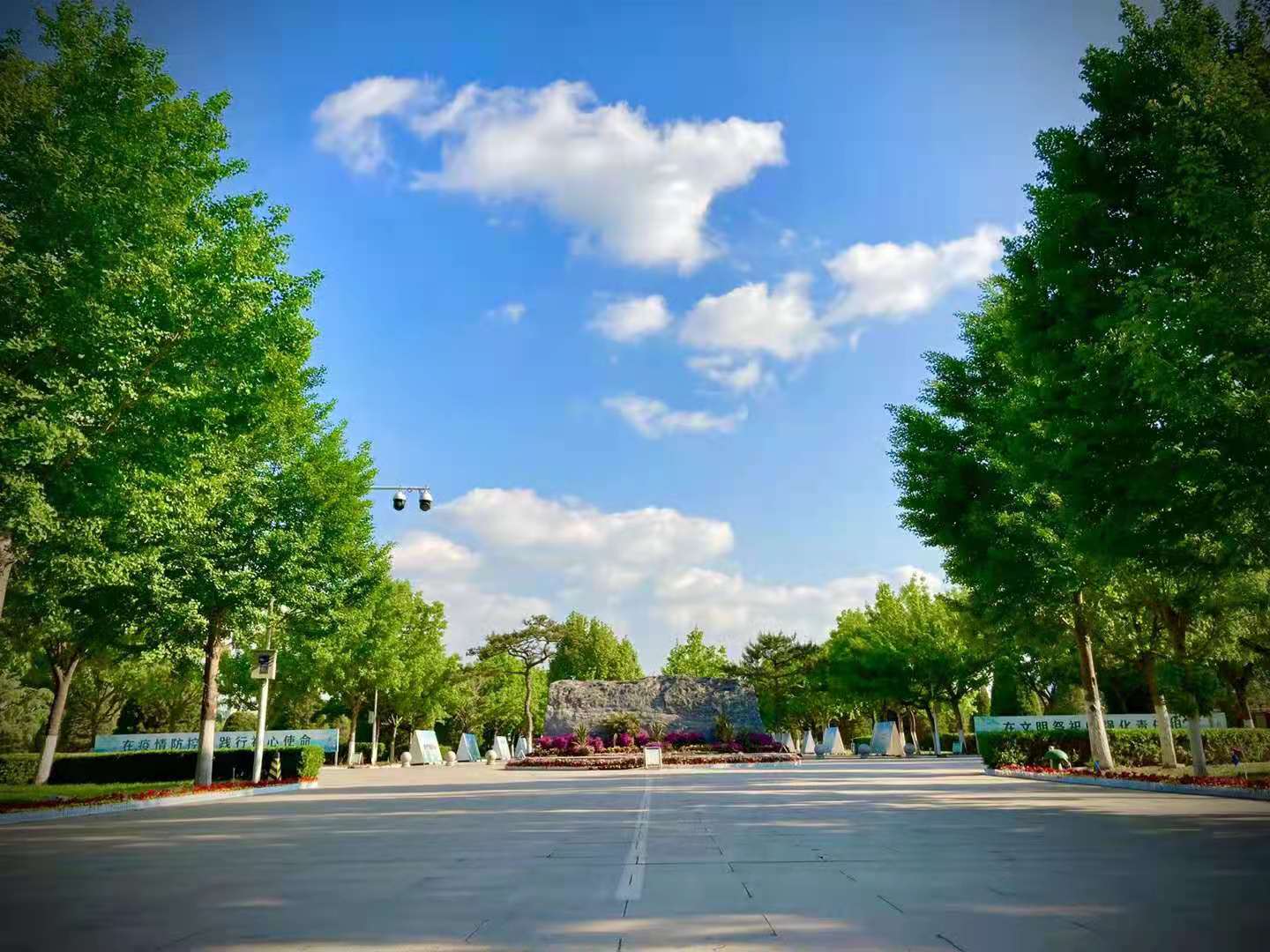长青生命纪念园官方墓区/墓型实景