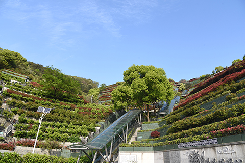 园区实景-杭州钱江陵园-官网3
