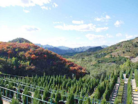 园区实景-景仰园骨灰林管理处2