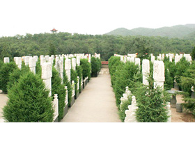 园区实景-炎黄陵园1