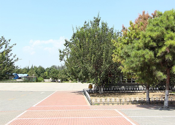 园区实景-园区环境