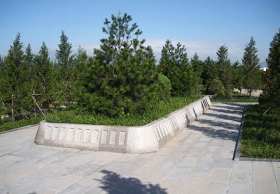园区实景-园区绿化