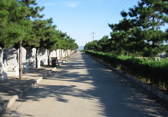 园区实景-墓区风景