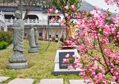 园区实景-同泰园区绿化